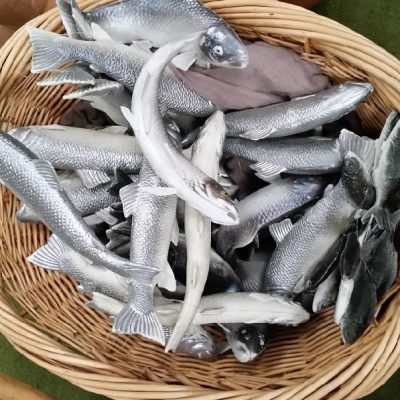 Basket of fish